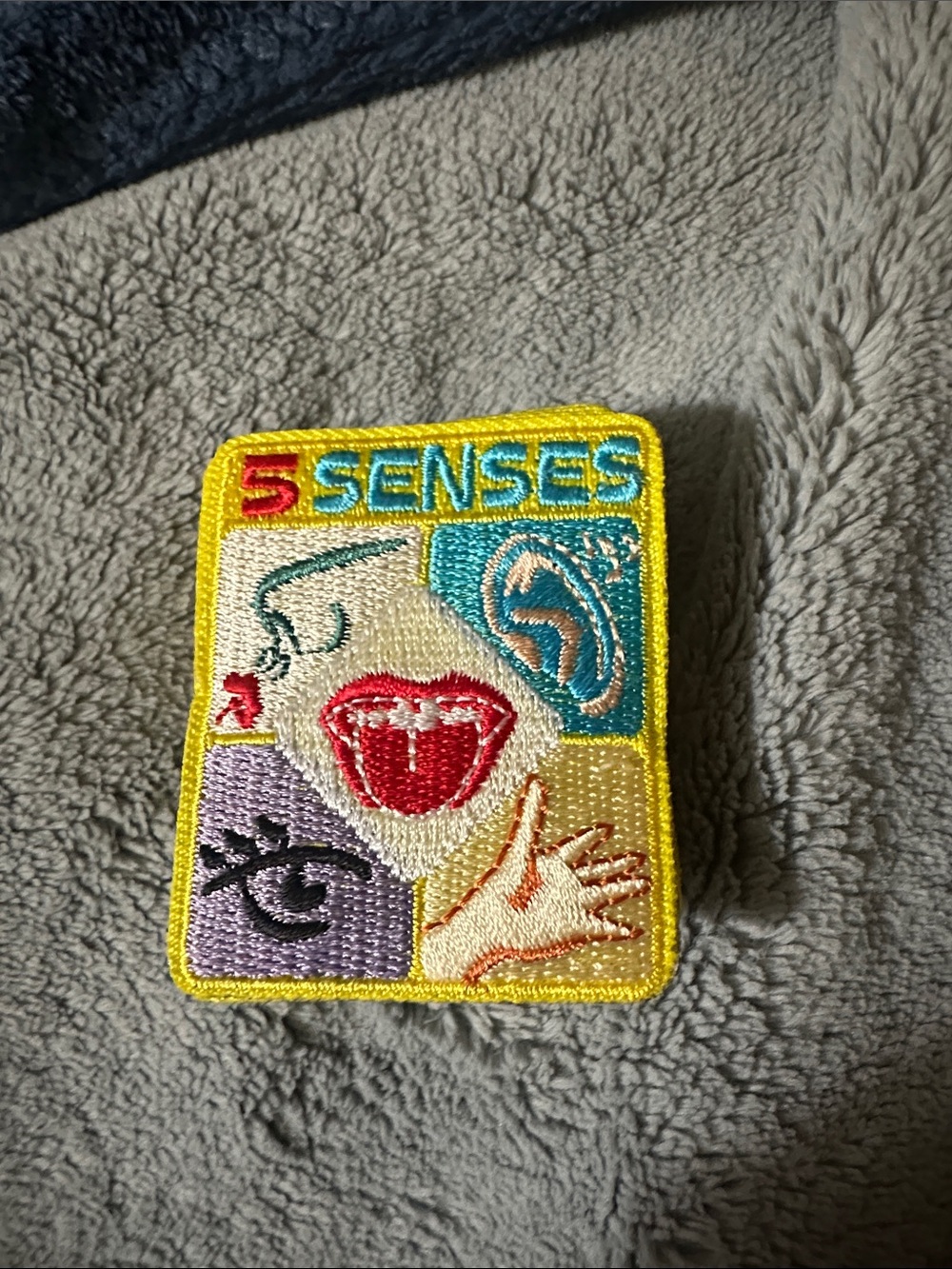 5 Senses Embroidered Patch - for Girl Scouts - Q15